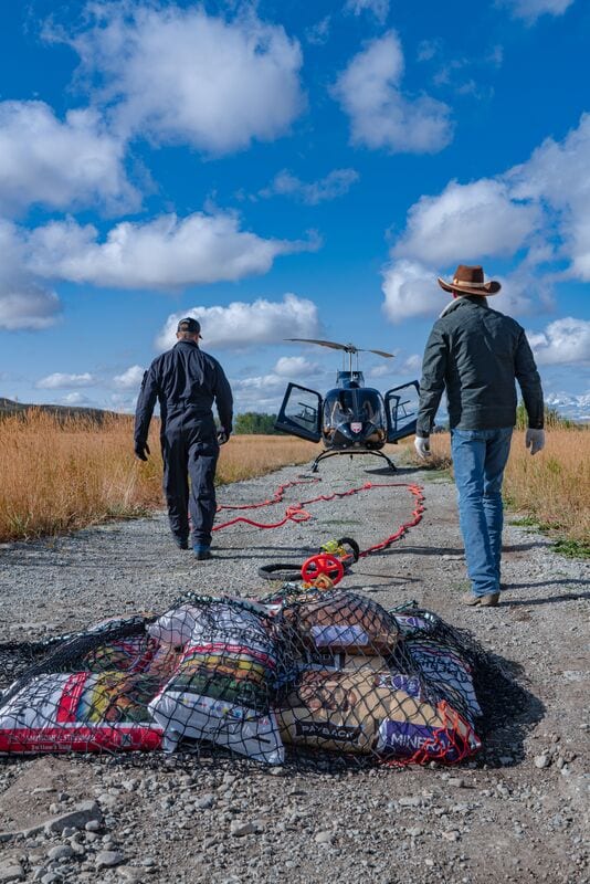 Rocky Mountain Rotors贝尔505